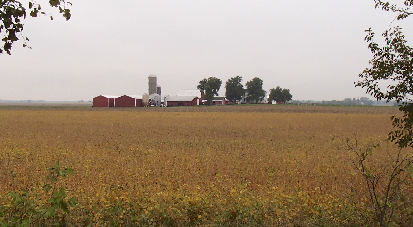 Day 9, Pilgrim Spokes – Southwestern Illinois